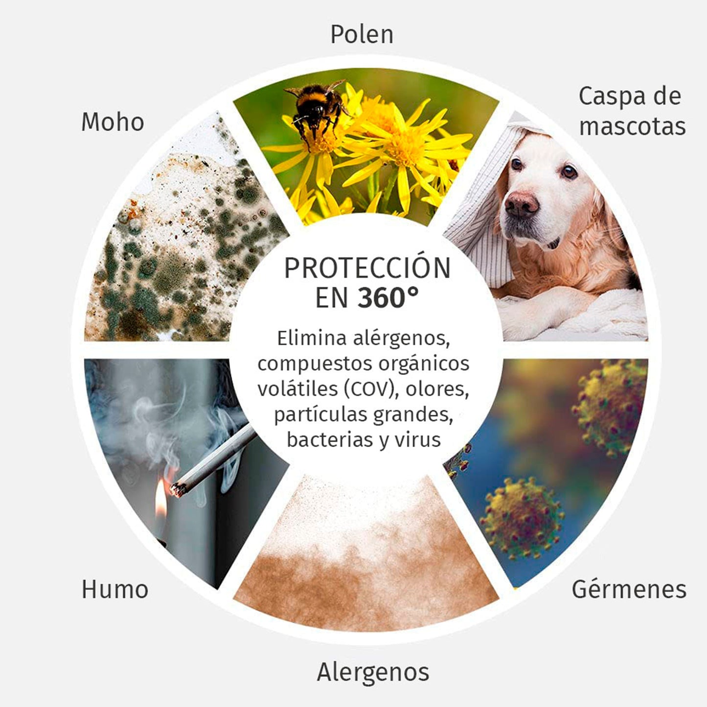 Purificador de Aire de Sobremesa con Filtro HEPA para Piezas Pequeñas